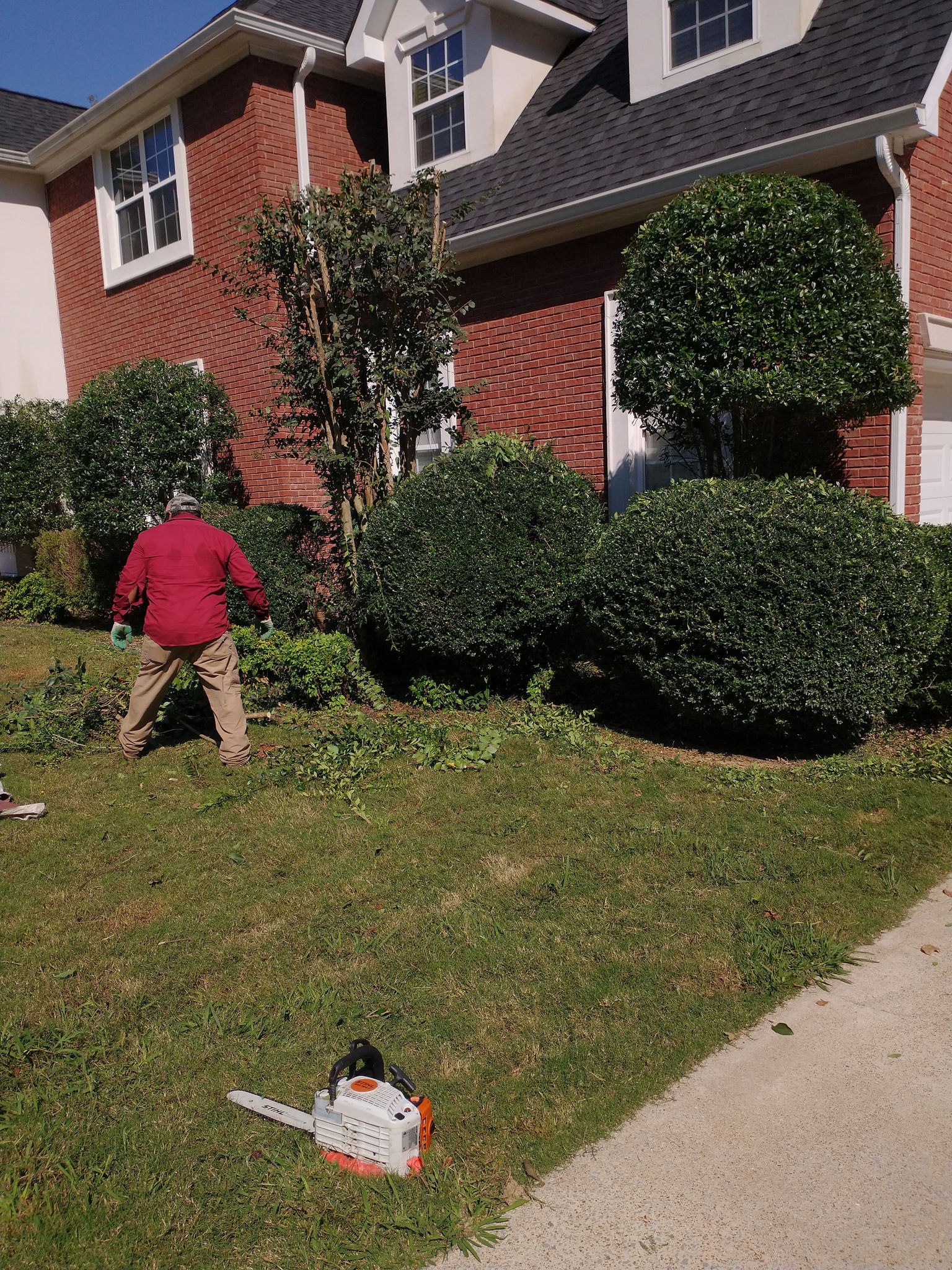 S&Y Tree Service and Construction Image